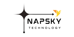 Napsky Technology logo
